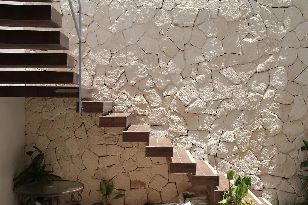 Estudios 56 Playa del Carmen