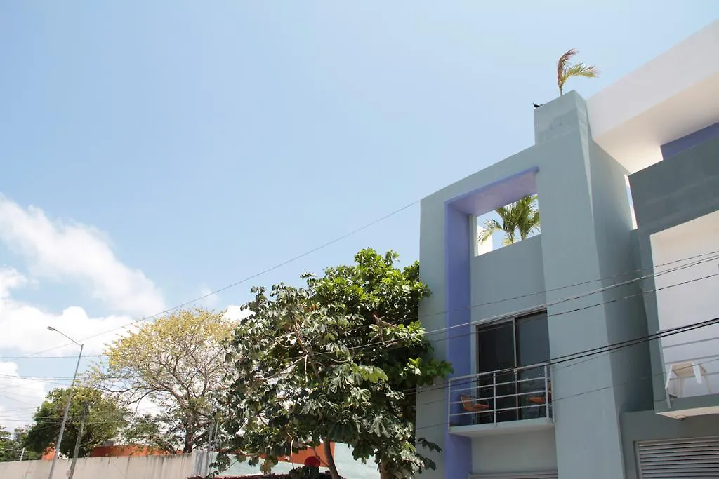 Estudios 56 Playa del Carmen